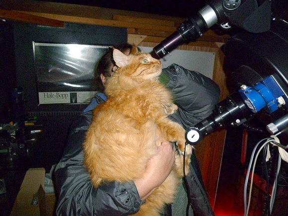 Cat checking out the view of Jupiter.