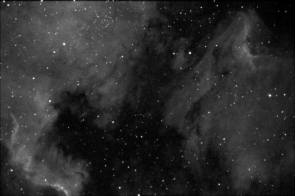 NGC 7000 - North America nebula .